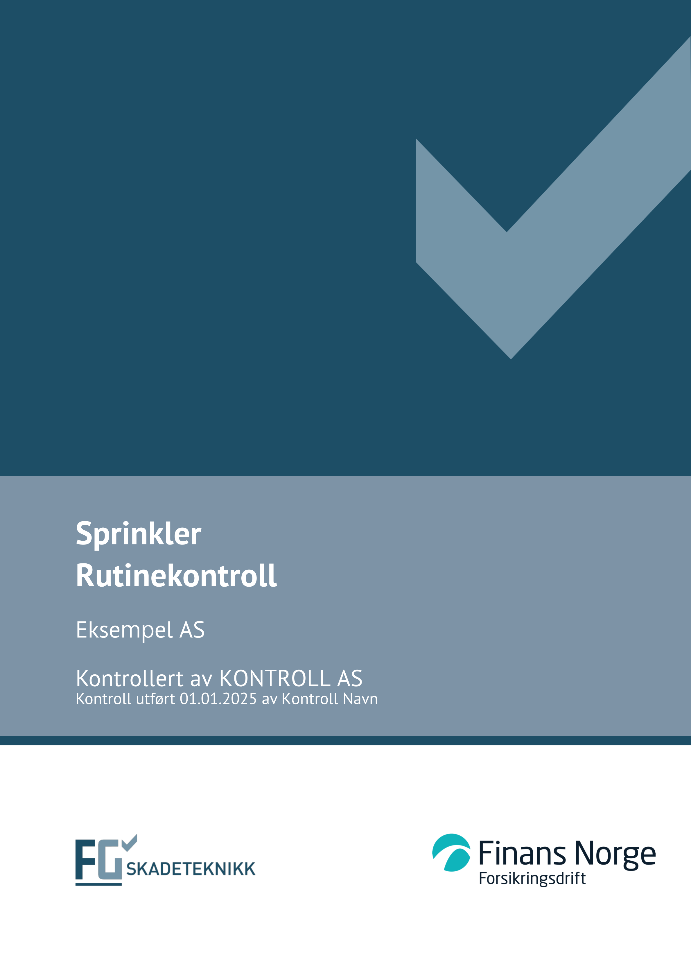 Bakgrunn av en FG kontrollrapport